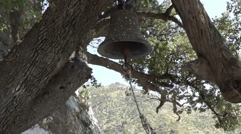 Bell under the tree Stock Footage 29081374