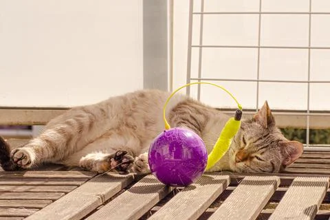 Bella lying Foto stock