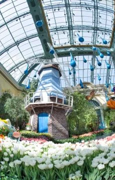 Bellagio Conservatory Stock-Fotos