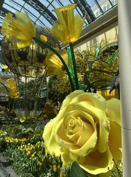 Bellagio Stock Photos