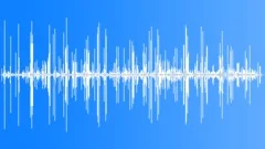 Bellbird Song Little BarrierSound Effect