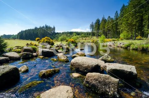Bellever Forest And Dart River on Dartmoor National Park in Devon, England Stock Photos