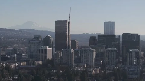 Bellevue Way N 2 Stock Footage 305413754