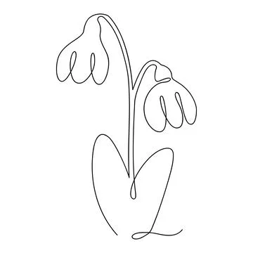 Bellflower continuous one line drawing Stock Illustration
