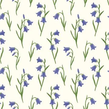 Bellflower seamless pattern. Hand drawn elegant simple bluebell flowers on off Stock Illustration