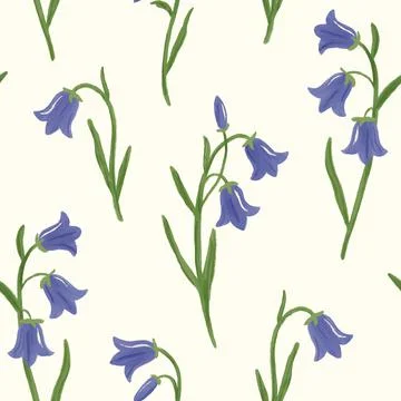 Bellflower seamless pattern. Hand drawn elegant simple bluebell flowers on off Stock Illustration