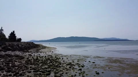 Bellingham 1 動画素材 304181873