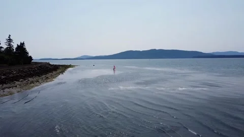 Bellingham 5 動画素材 304181909