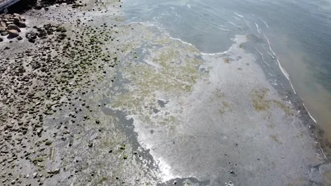 Bellingham 6 動画素材 304182332