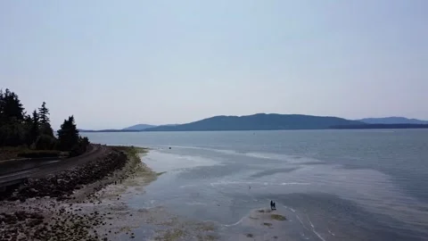 Bellingham 7 動画素材 304181715