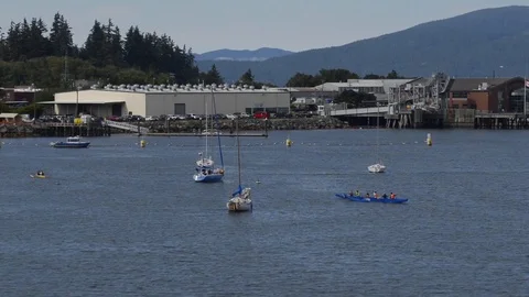 Bellingham Bay Stock Footage 93431704
