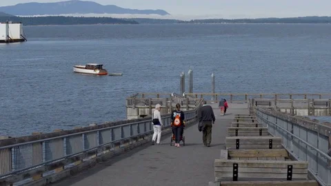 Bellingham Taylor Dock Stock Footage 93431736