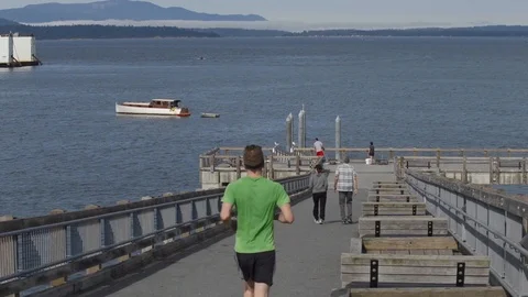 Bellingham Taylor Dock Stock Footage 93431738