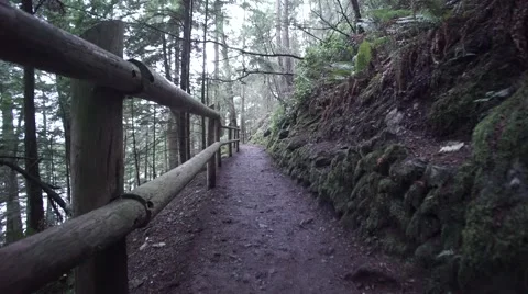 Bellingham Trail Stock Footage 46821826