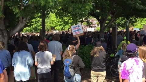 BELLINGHAM WA 06-06-20 Protest Signs at Park Include Equal Justice Placard Stock Footage