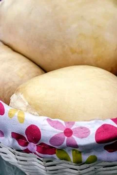 Bellows cheese-1 Stock Photos
