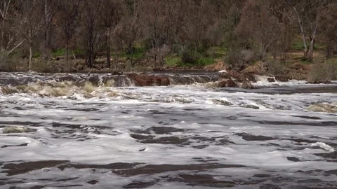 Bells Rapids Park Stock Footage 282230258