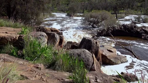 Bells Rapids Park Stock Footage 282233685