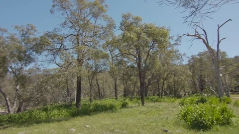 Bells Rapids Perth panning camera right to left Stock Footage 115975423