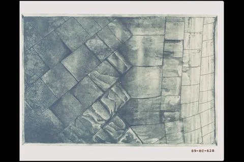 Belly of the Bird an etching by Deborah E. Deschner. Tiles underlining the... Foto stock