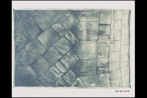 'Belly of the Bird' an etching by Deborah E. Deschner. Tiles underlining th.. Foto stock
