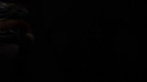 Belly dancer Stock Footage 1071485