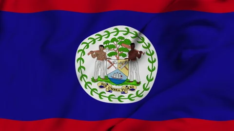 Belmopan flag fluttering in the wind Stock Footage 139654419