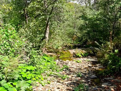 Beloretsky tract. Nature is in the way of the Beloretsky tract. Roads and lan Stock Photos