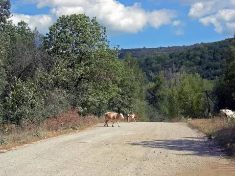 Beloretsky tract. Nature is in the way of the Beloretsky tract. Roads and lan Stock Photos