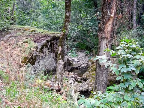 Beloretsky tract. Nature is in the way of the Beloretsky tract. Roads and lan Stock Photos