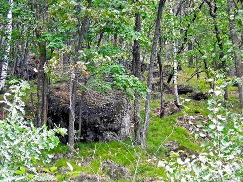 Beloretsky tract. Nature is in the way of the Beloretsky tract. Roads and lan Stock Photos