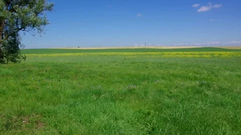 Belorussian landscape Stock Footage 78317856