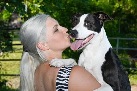 Beloved Dog Stock Photos
