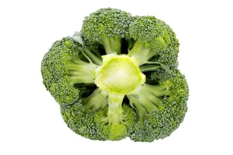 Below fresh broccoli isolated on a white background. Stock Photos