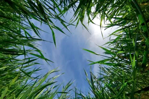 From below Stock Photos