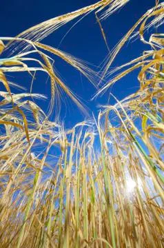 From below Fotos de archivo
