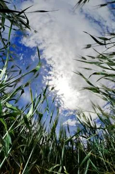 From below Stock Photos