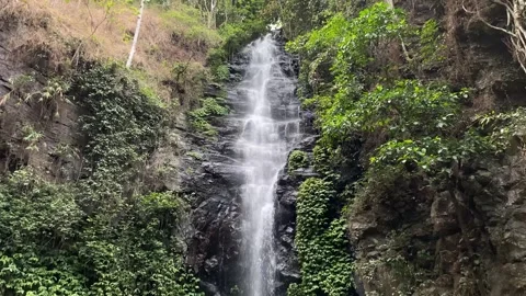 From below of scenic waterfal 動画素材 257071291