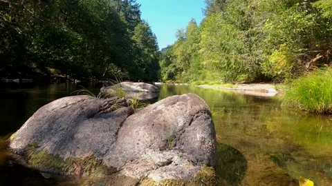 Below Wildwood Falls Stock Footage 139548948