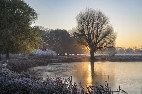 Below zero at dawn Stock-Fotos