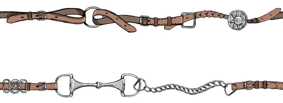 Belt border or frame with bit, leather horse riding tack tool Stock Illustration