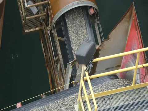 Belt conveyer unloading rock formation Stock Footage 73834038