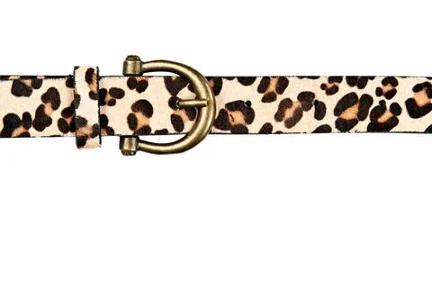 Belt with leopard pattern belt with leopard pattern isolated on white back... 스톡 사진