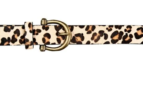 Belt with leopard pattern Foto stock