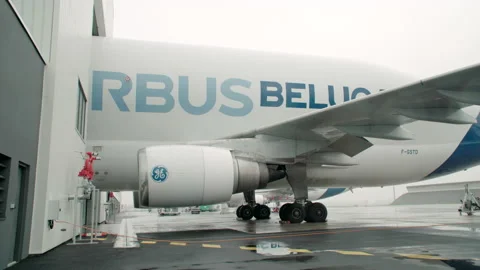 Beluga Airbus cargo plane Stockbeeldmateriaal 166361997