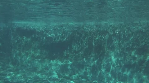 Beluga underwater Stock Footage 7752943