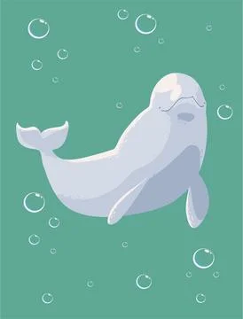 Beluga whale with bubbles Stock Illustration