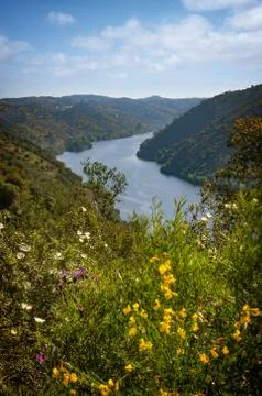 Belver Landscape Foto stock