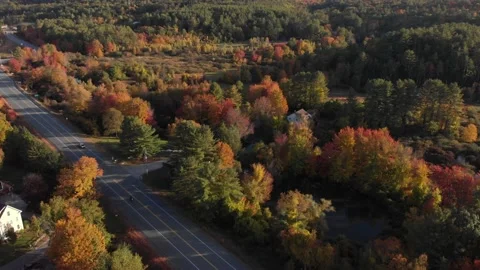 Bement Covered Bridge Stock Footage 223523050
