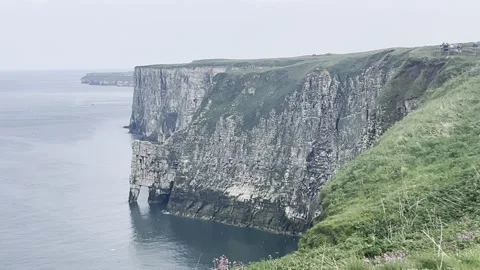 Bempton Cliffs 1 Stock Footage 296658430